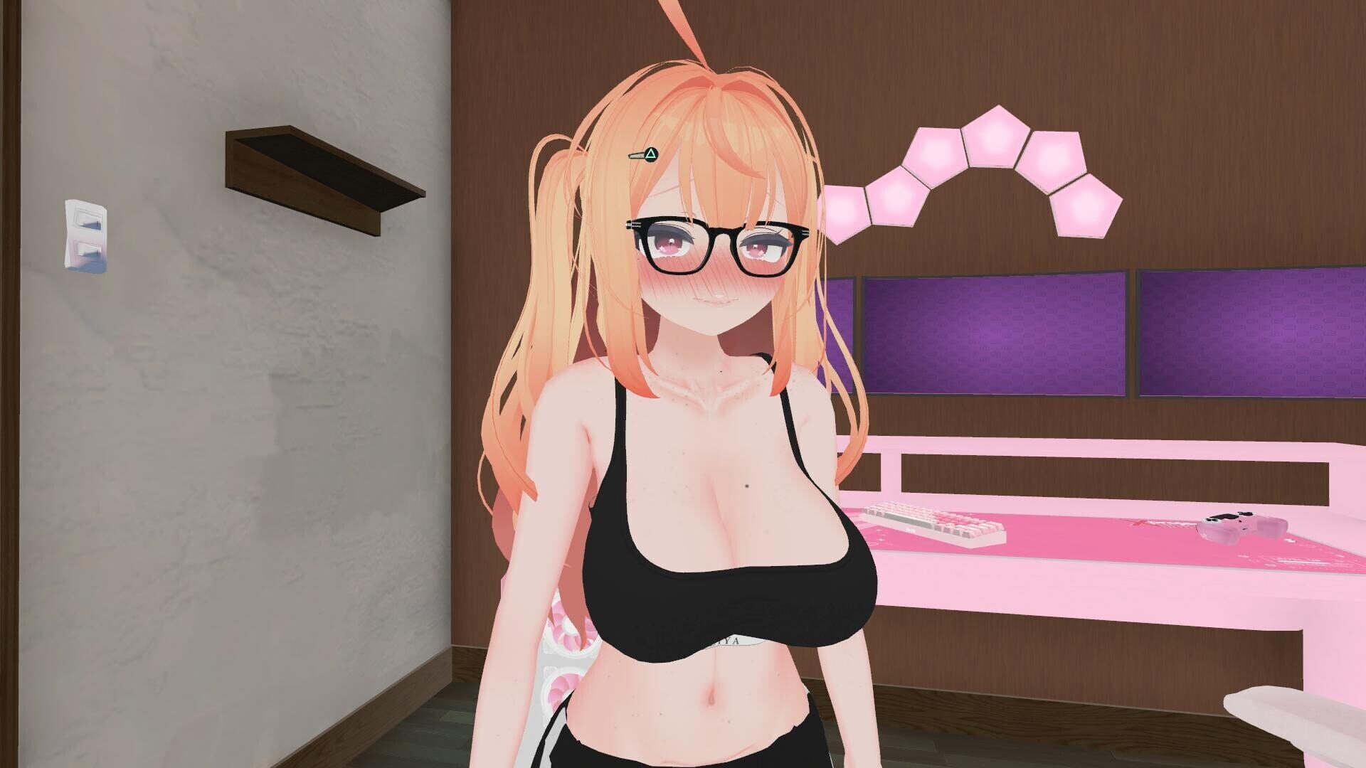Screenshot for Project Exhibitionist