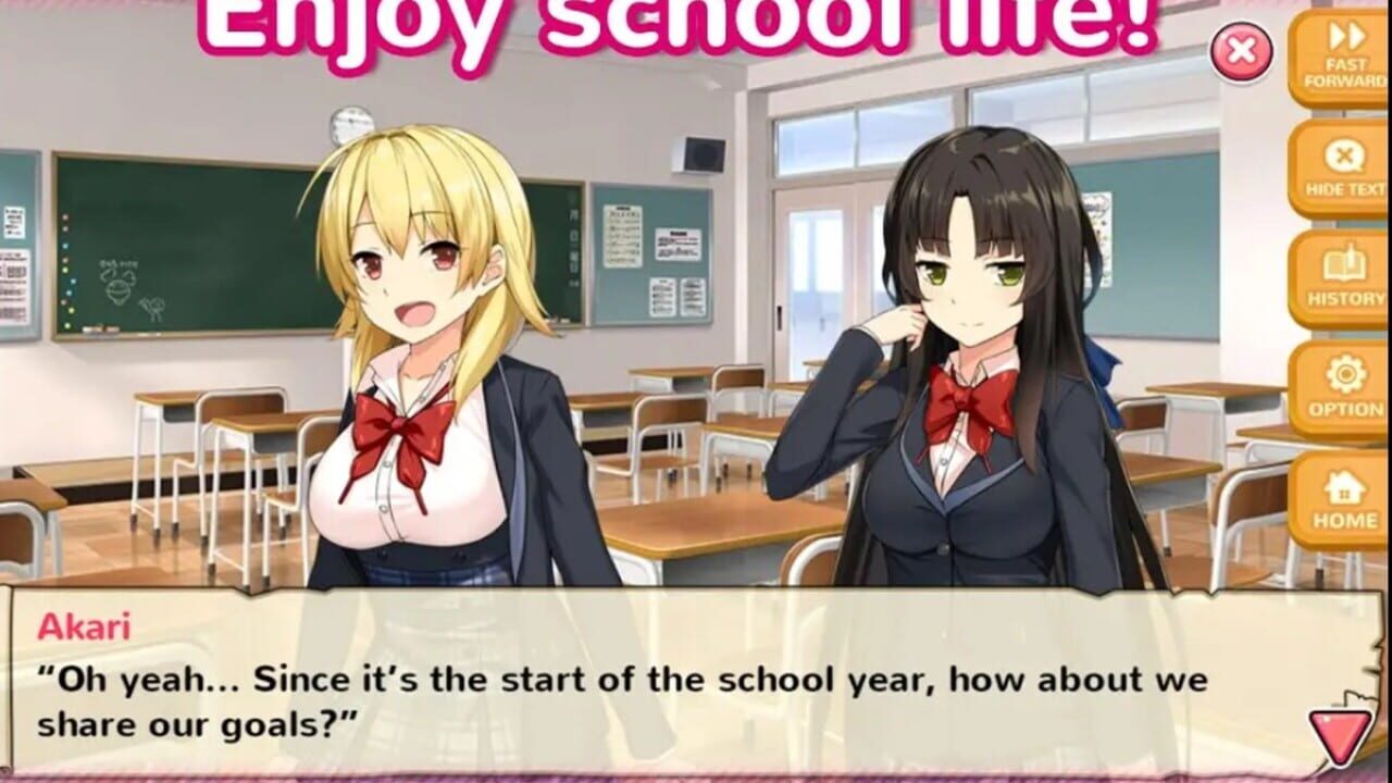 Screenshot for Moe! Ninja Girls