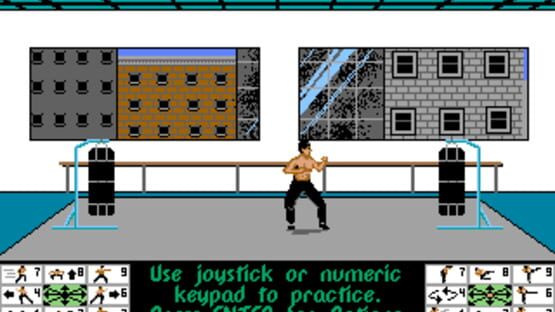 Screenshot for Bruce Lee Lives: The Fall of Hong Kong Palace