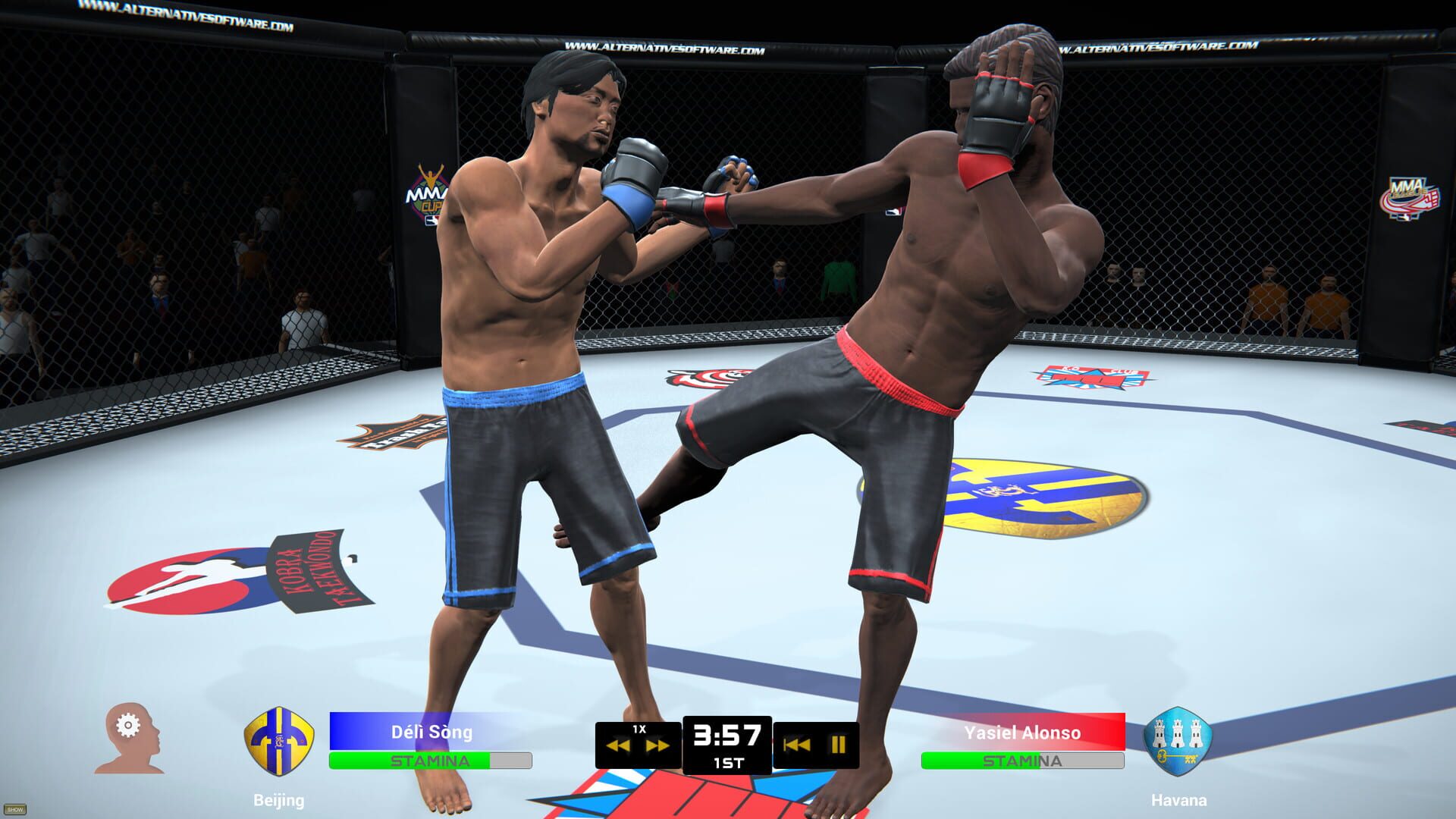 Screenshot for MMA Team Manager