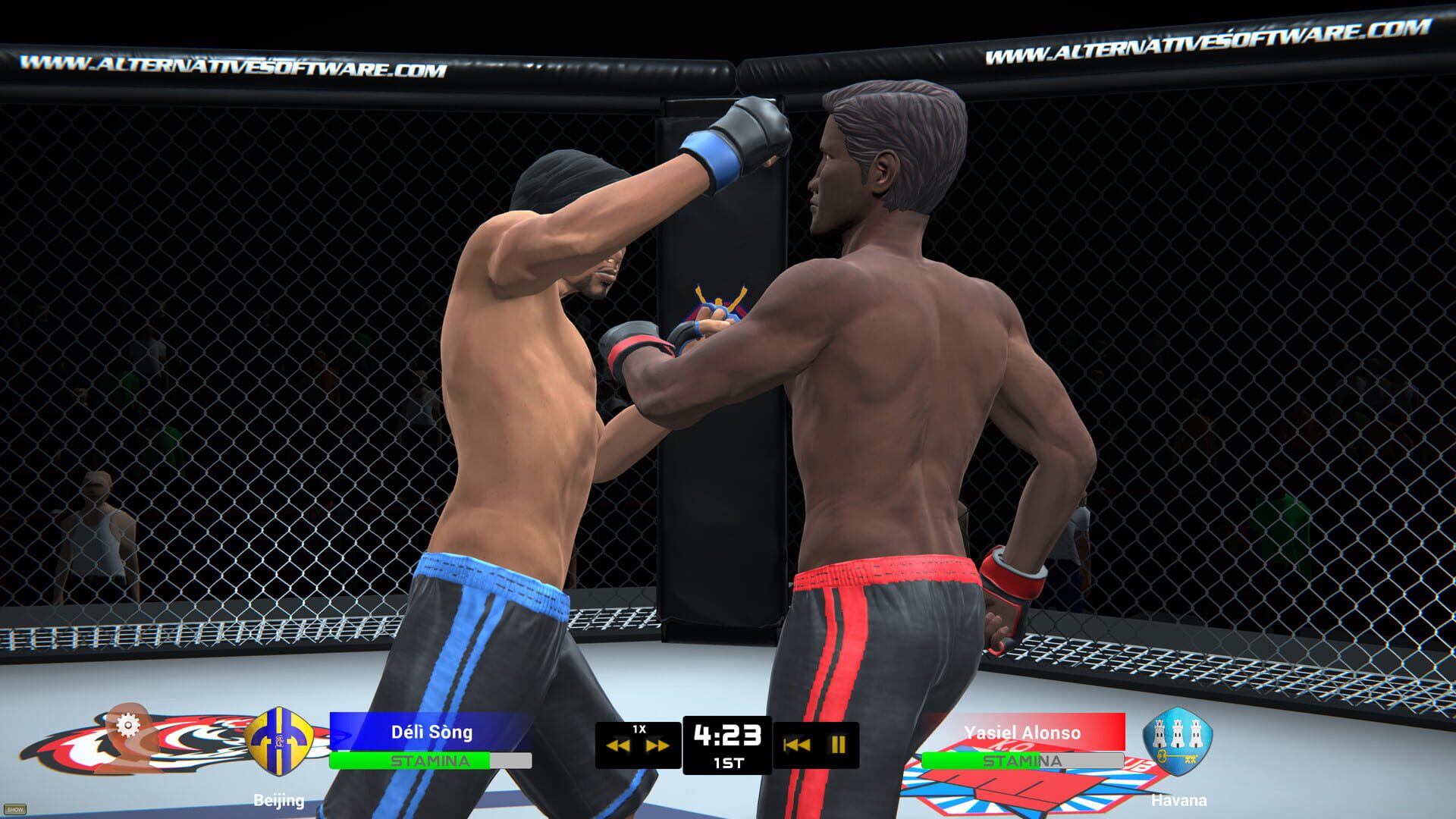 Screenshot for MMA Team Manager