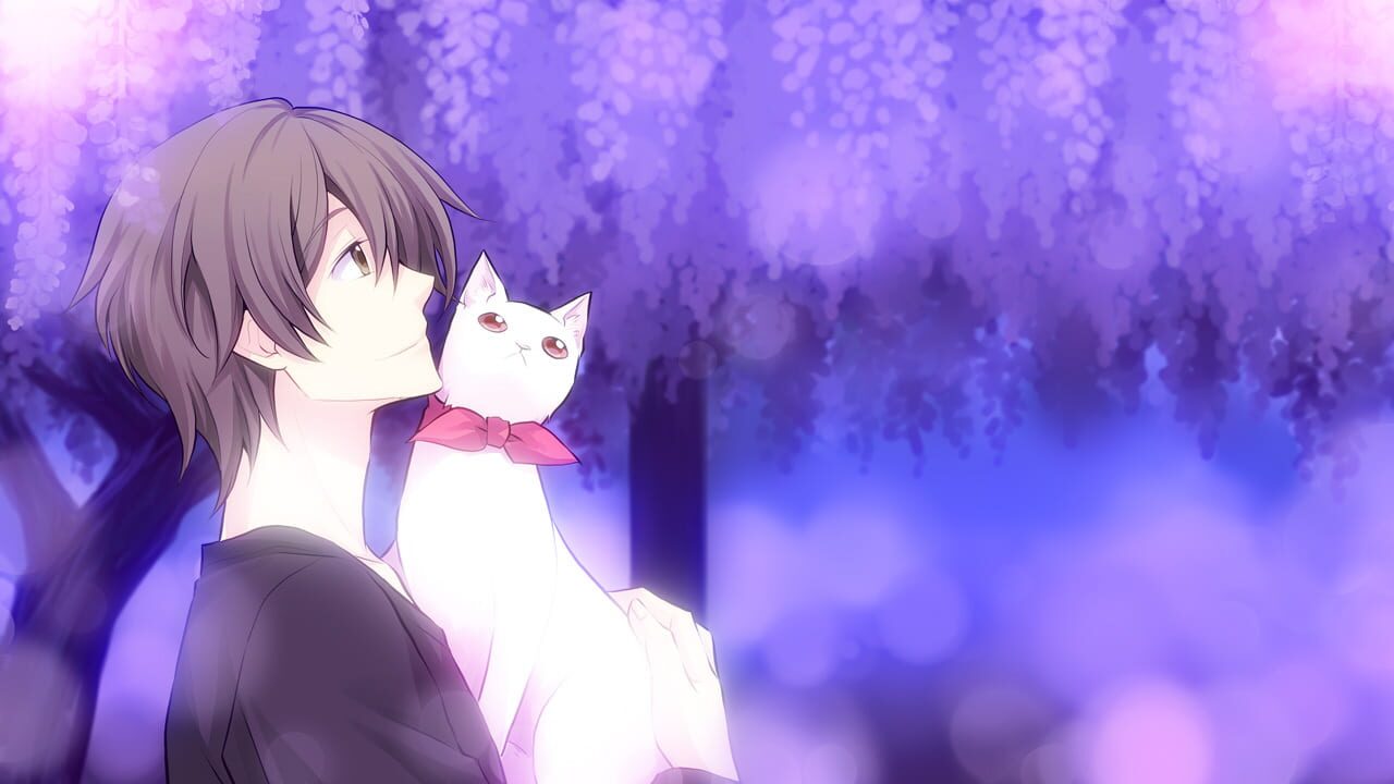 Screenshot for Kitty Love -Way to look for love-
