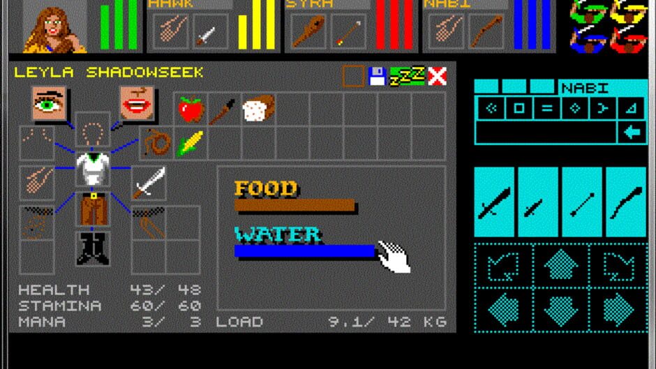 Screenshot for Dungeon Master