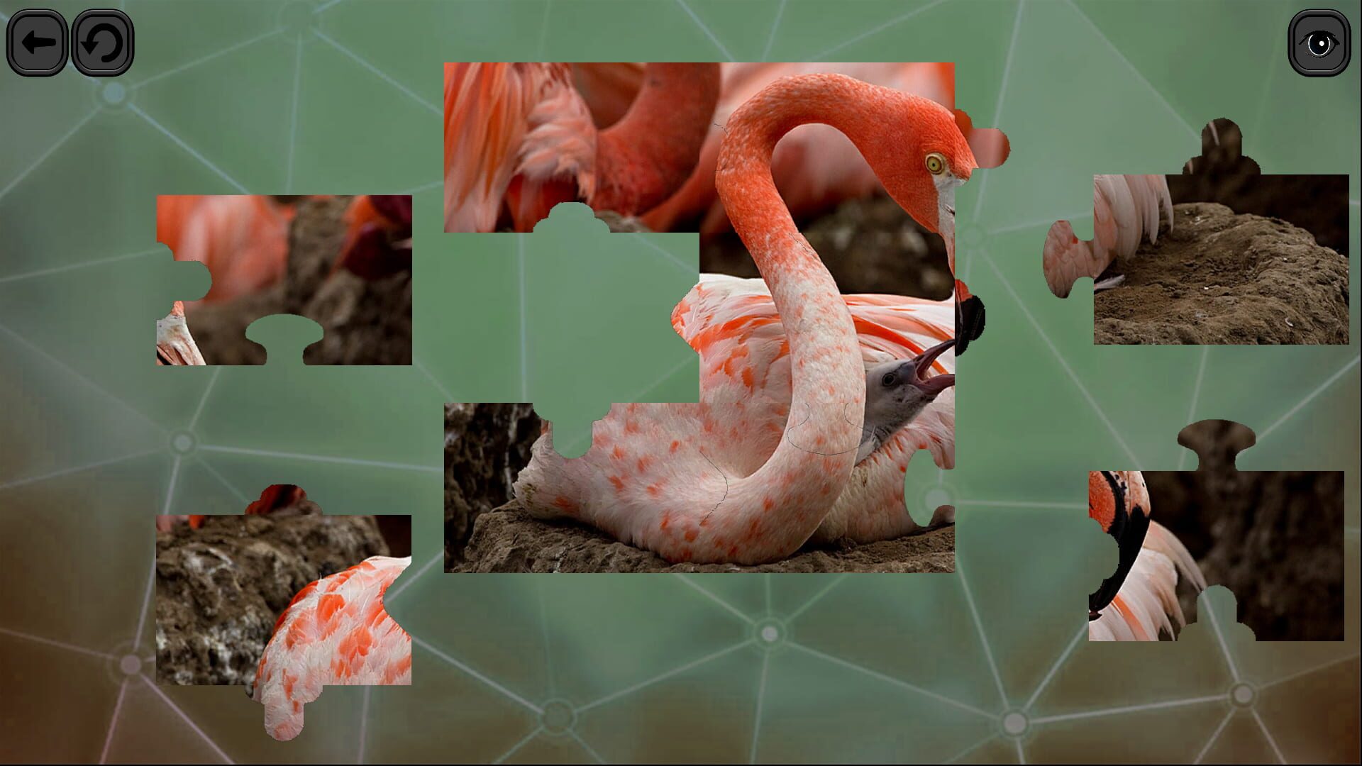 Screenshot for Puzzles for Smart: Birds