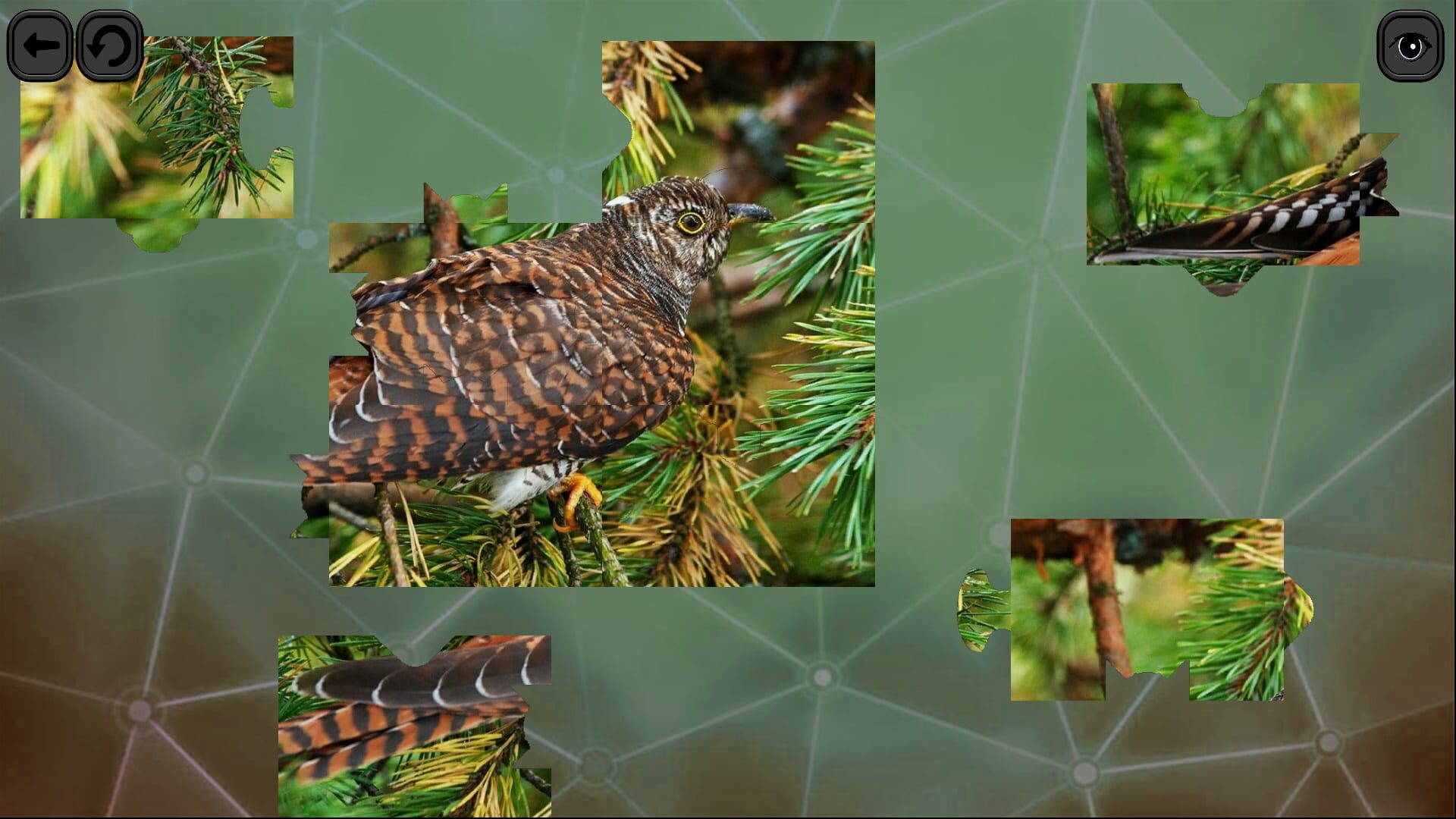 Screenshot for Puzzles for Smart: Birds