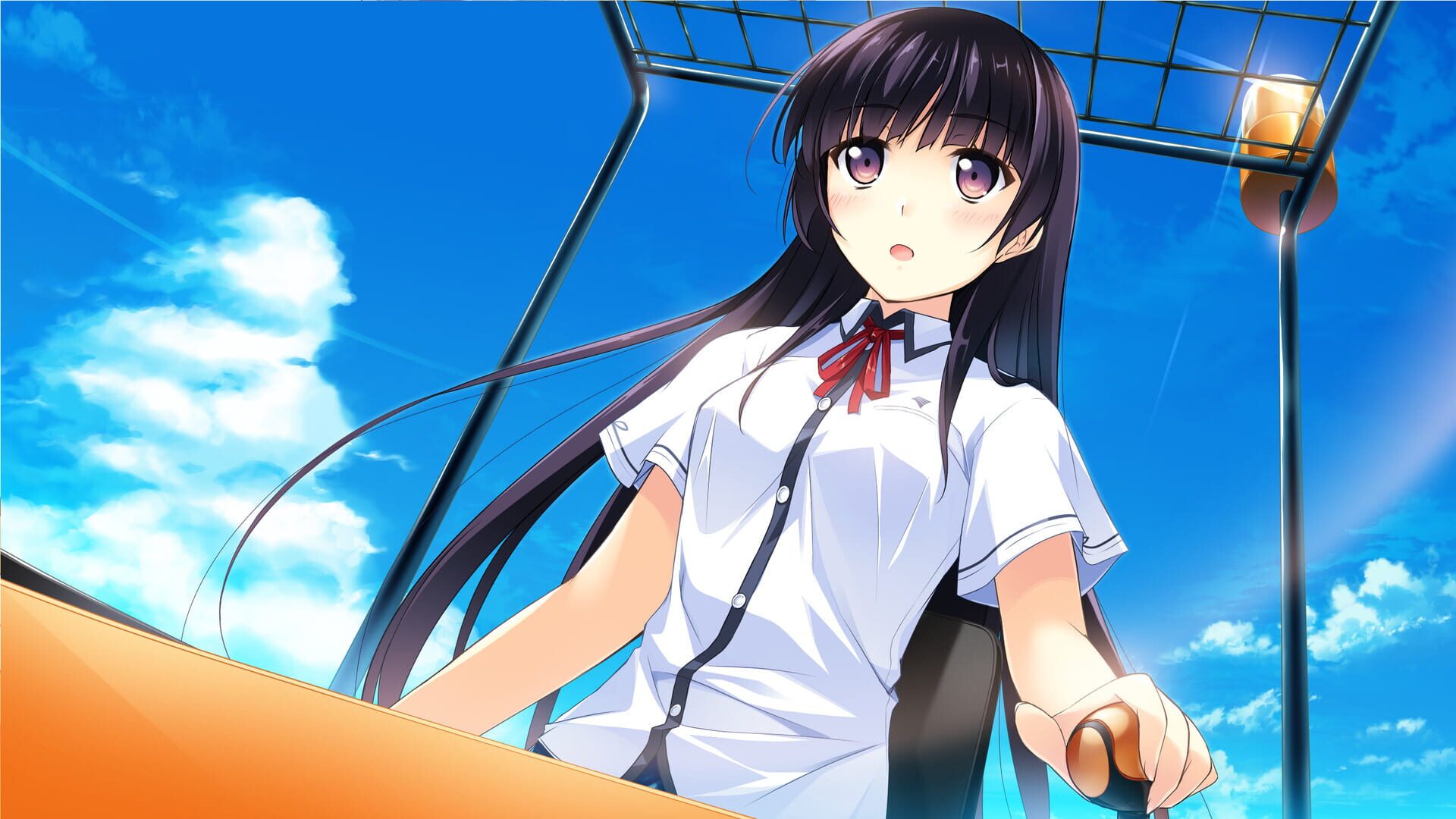 Screenshot for If My Heart Had Wings: Flight Diary