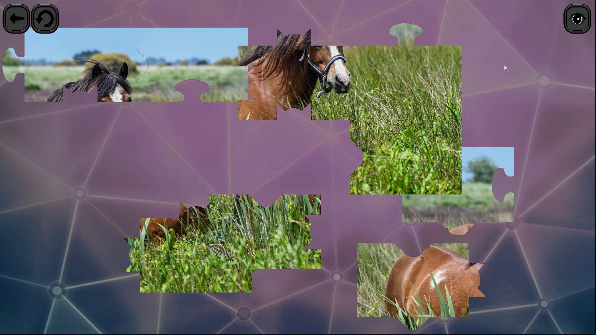 Screenshot for Puzzles for smart: Horses