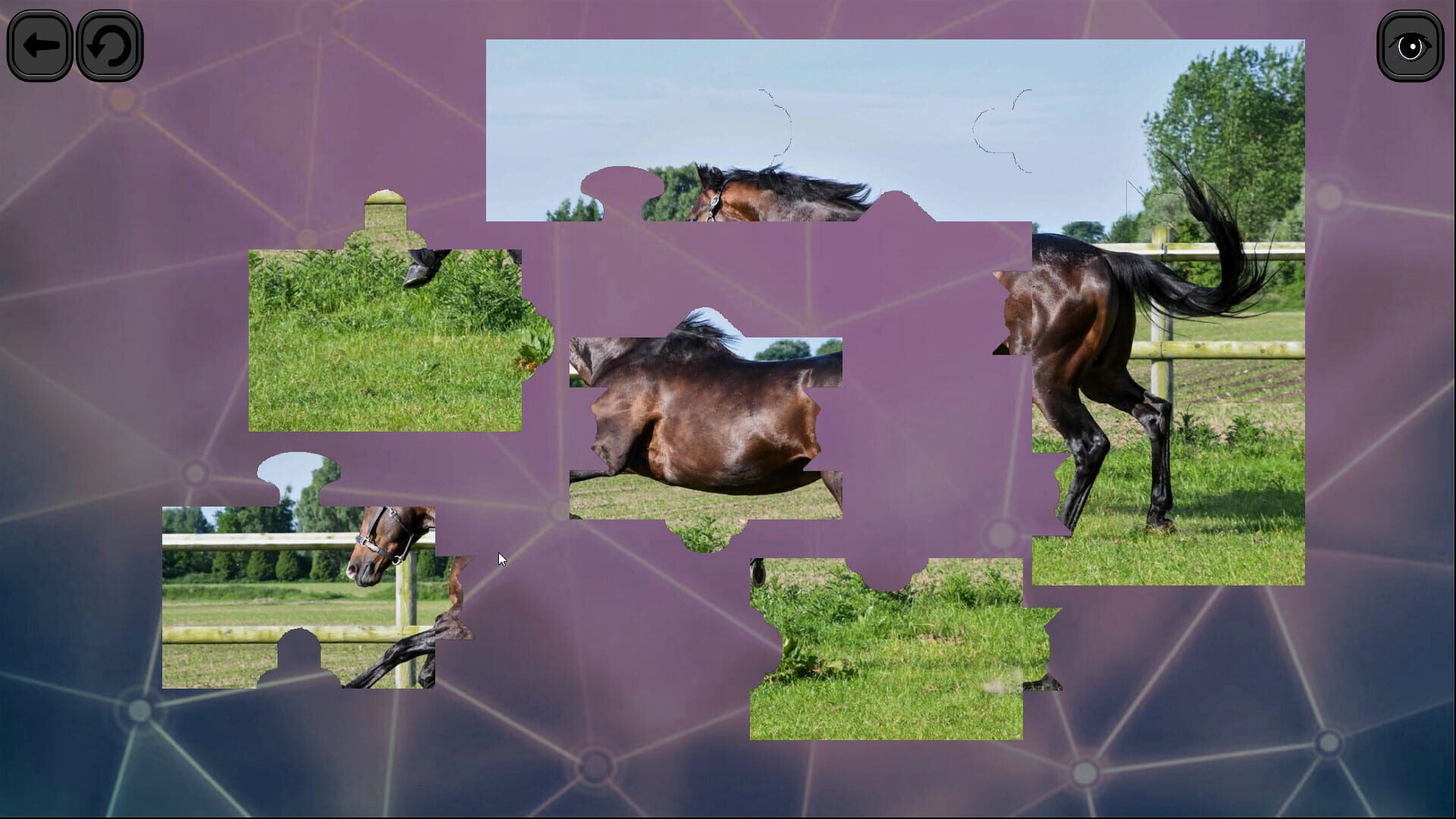 Screenshot for Puzzles for smart: Horses