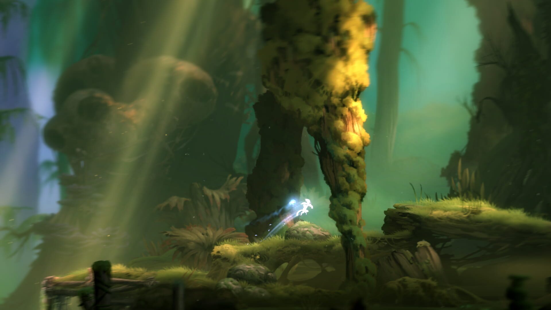 Screenshot for Ori and the Blind Forest