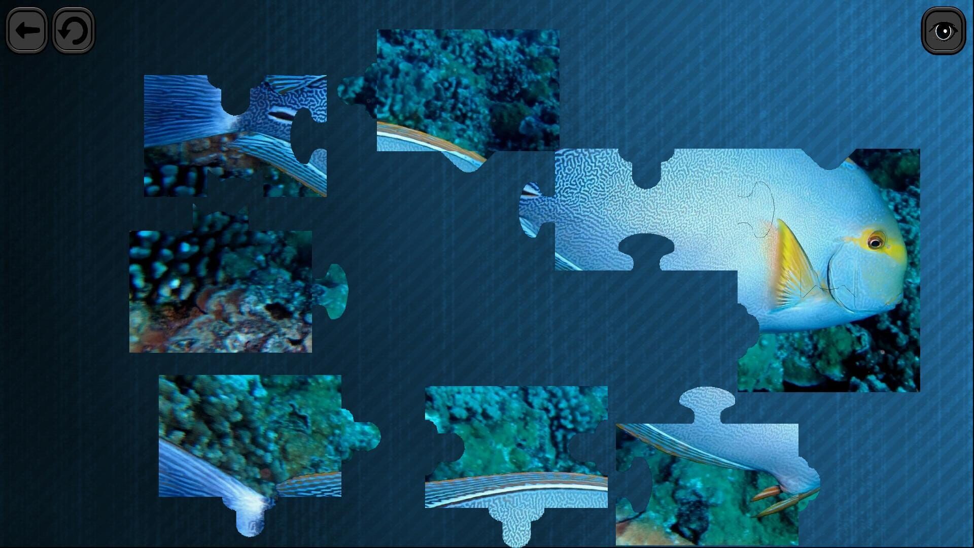 Screenshot for Puzzles for smart: Underwater Kingdom