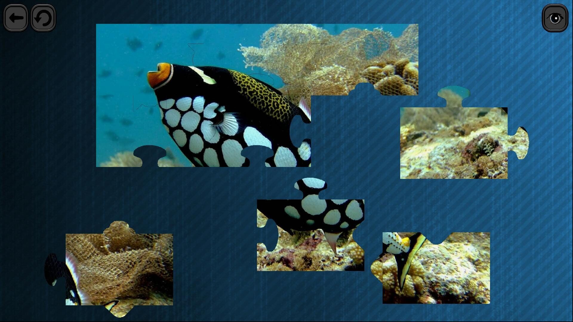 Screenshot for Puzzles for smart: Underwater Kingdom