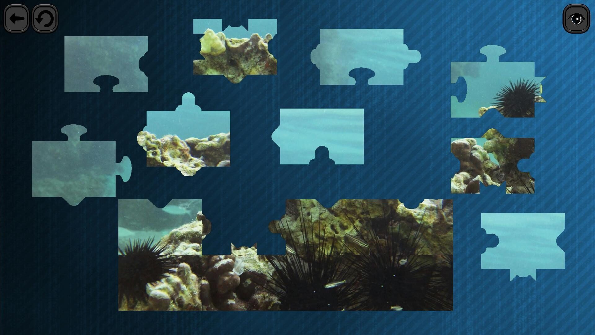 Screenshot for Puzzles for smart: Underwater Kingdom