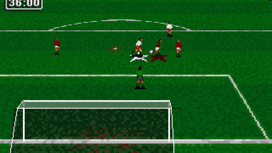 Screenshot for Striker '95