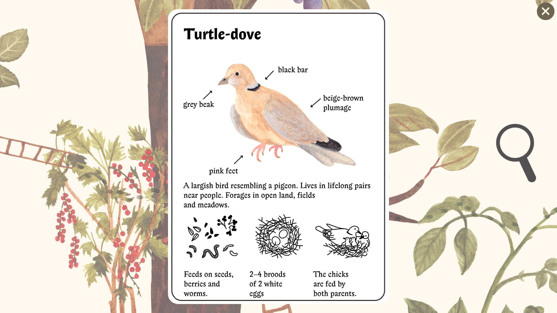 Screenshot for Little Mouse's Encyclopedia