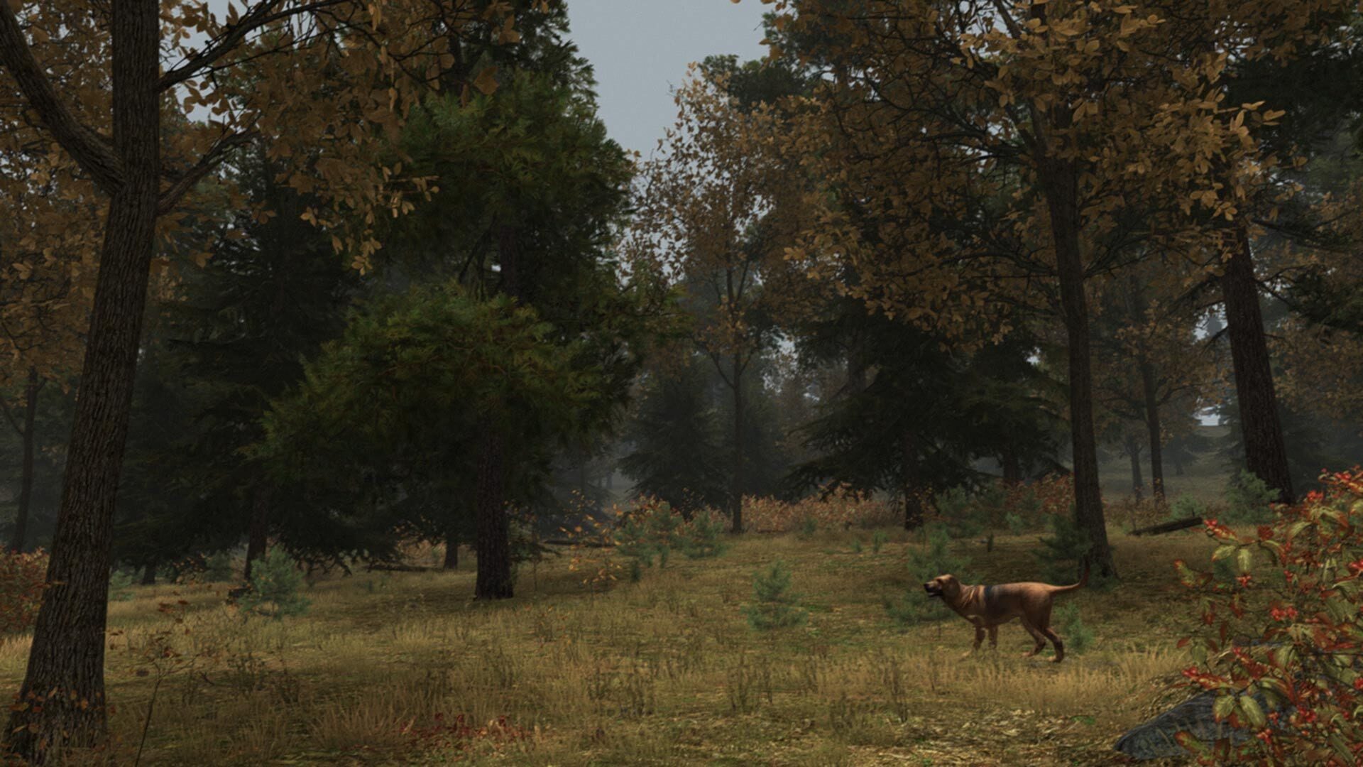 Screenshot for Walden, a game