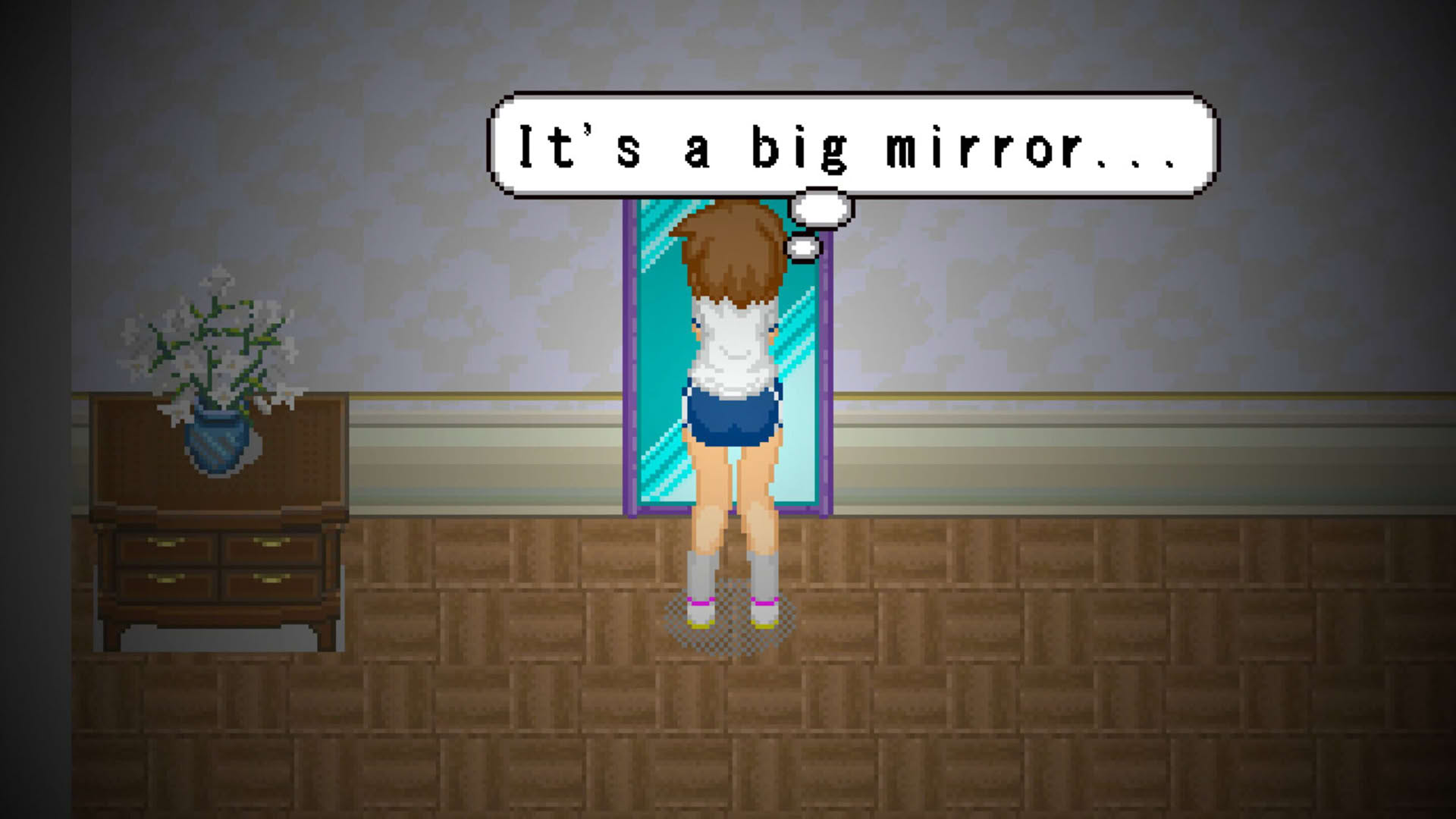 Screenshot for Alternate DiMansion Diary