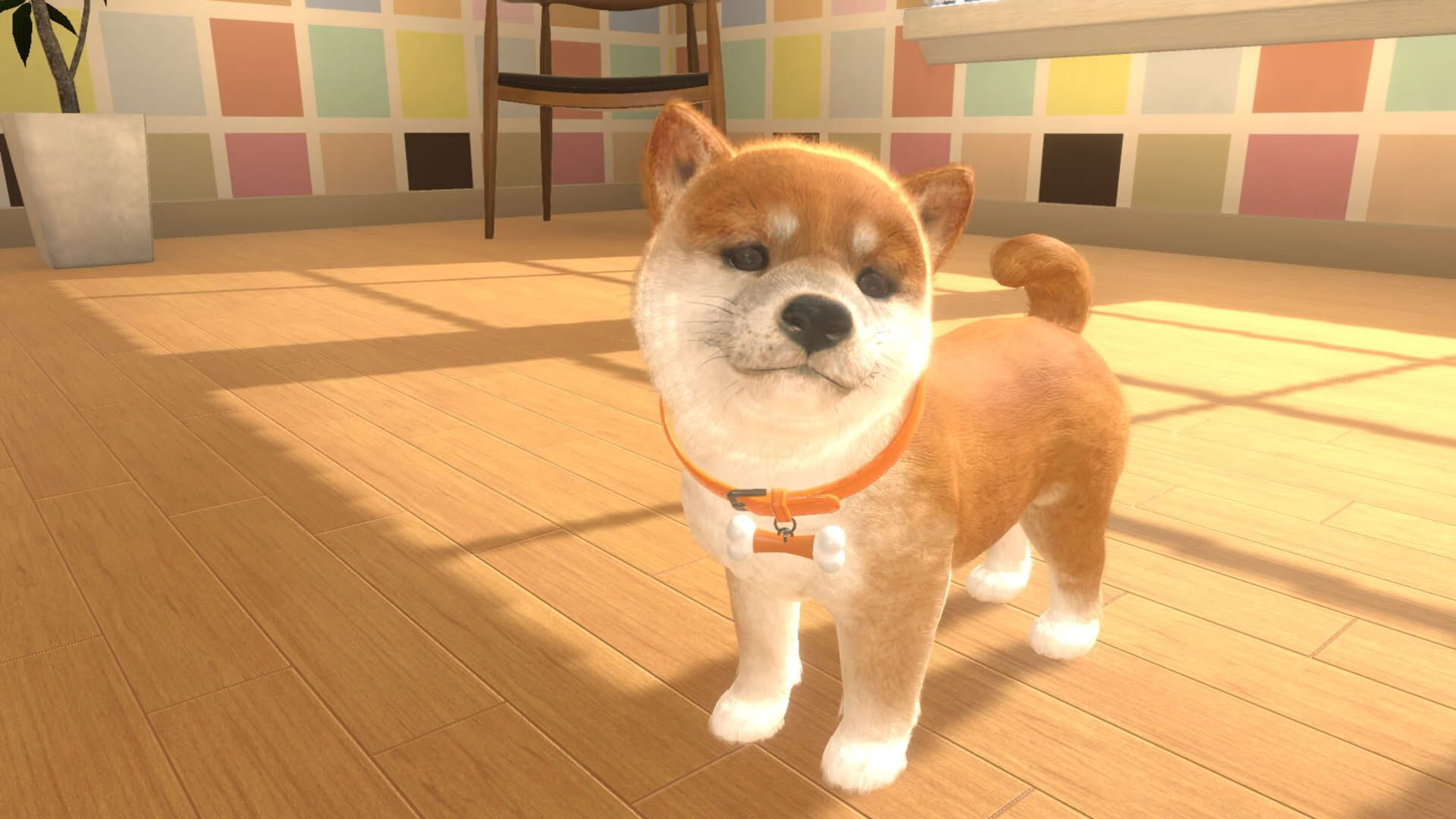 Screenshot for Little Friends: Dogs & Cats