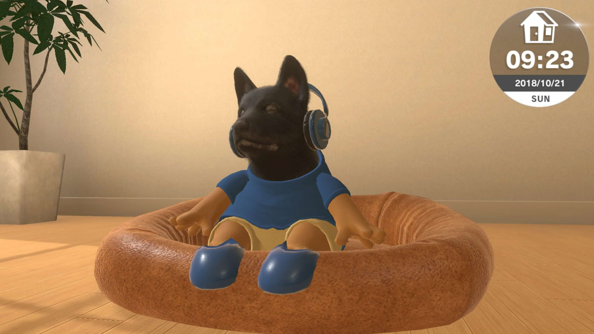 Screenshot for Little Friends: Dogs & Cats
