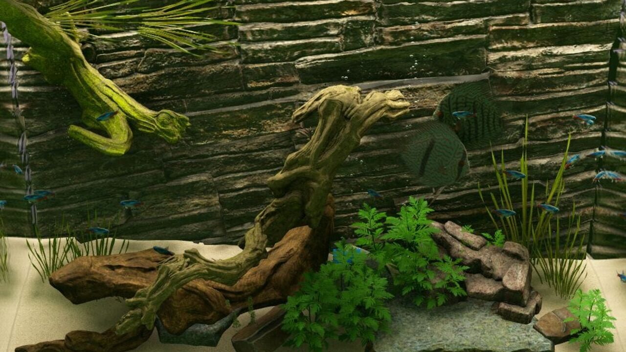 Screenshot for Biotope: Aquarium Simulator