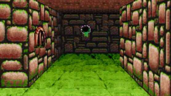 Screenshot for Dungeons & Dragons: Eye of the Beholder