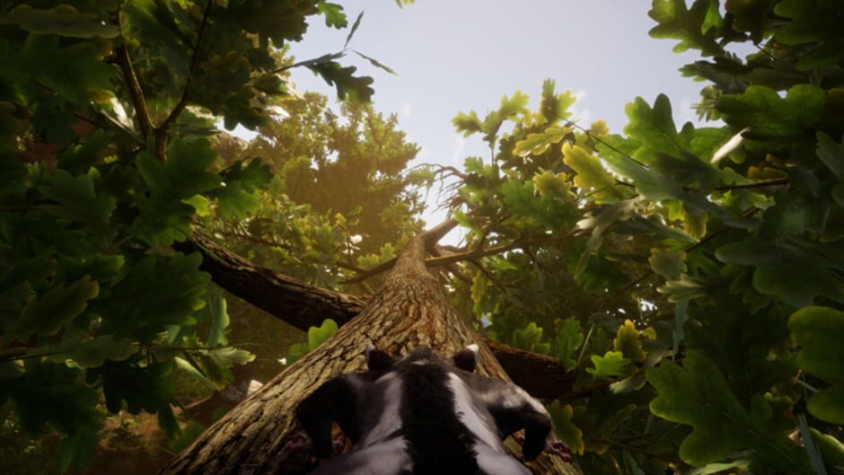 Screenshot for Away: The Survival Series
