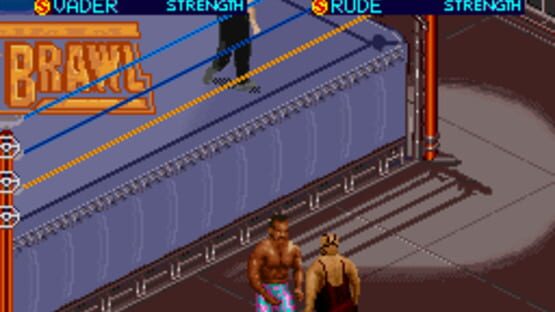 Screenshot for WCW SuperBrawl Wrestling