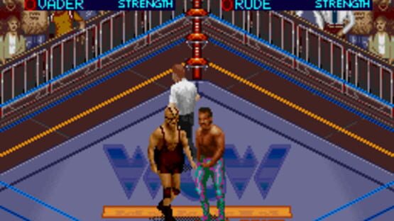 Screenshot for WCW SuperBrawl Wrestling