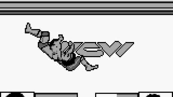 Screenshot for WCW: The Main Event