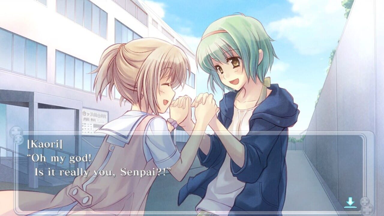 Screenshot for Nurse Love Syndrome