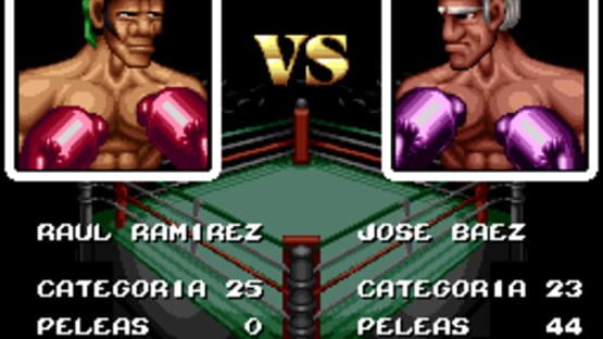 Screenshot for Riddick Bowe Boxing