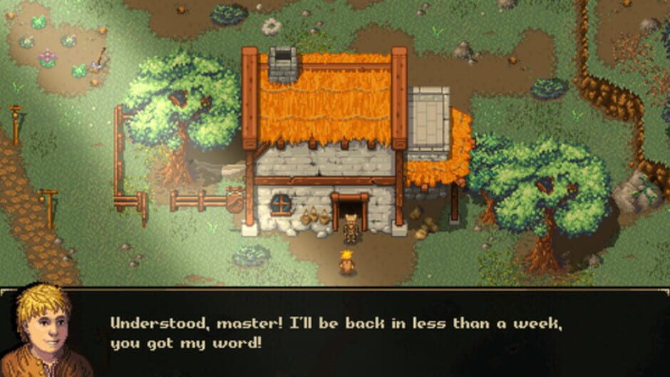 Screenshot for Courier of the Crypts