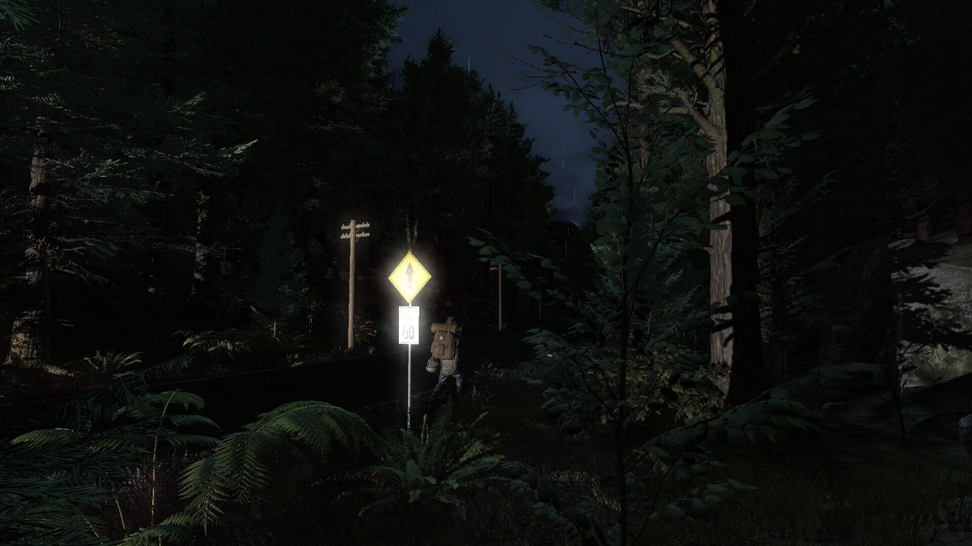 Screenshot for Pineview Drive: Homeless