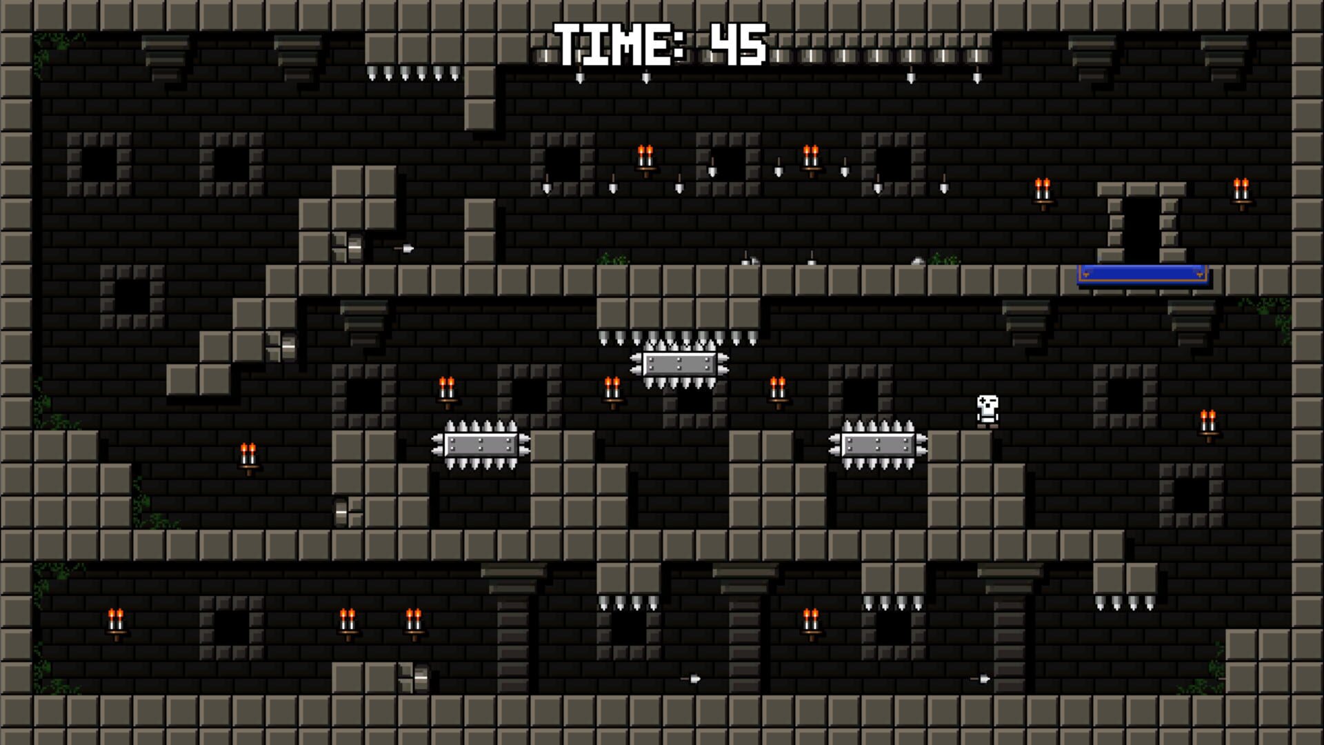Screenshot for Castle of Pixel Skulls