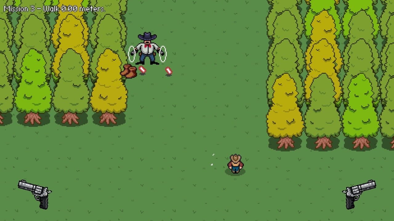 Screenshot for Two Guns