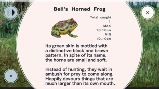 Screenshot for Frog Minutes
