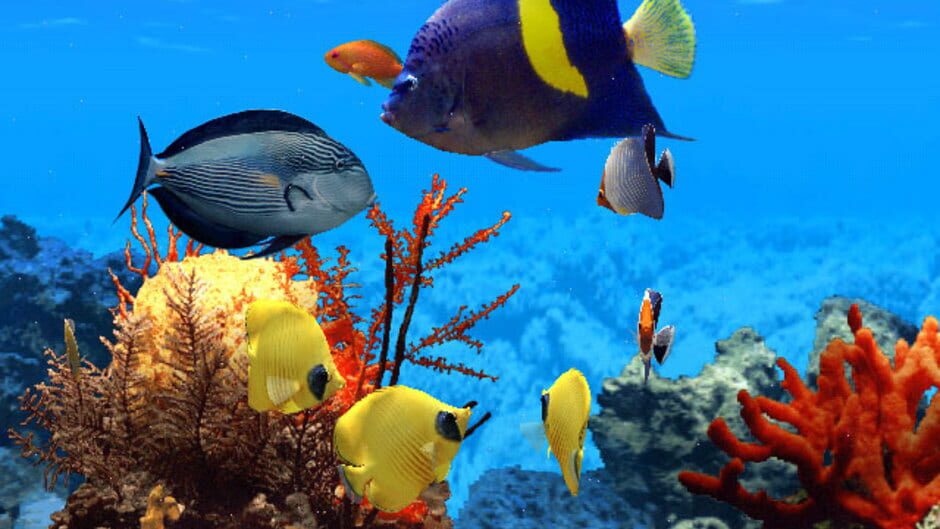 Screenshot for Fish Life
