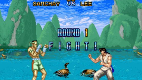Screenshot for Fighter's History
