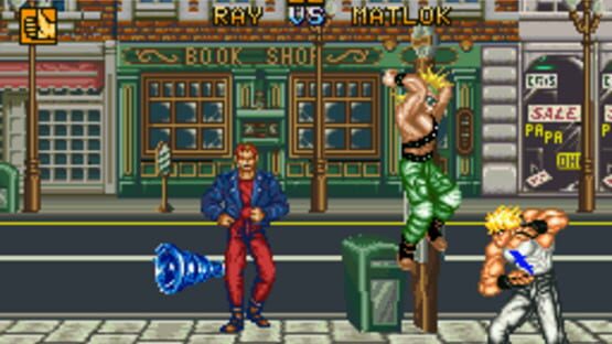 Screenshot for Fighter's History