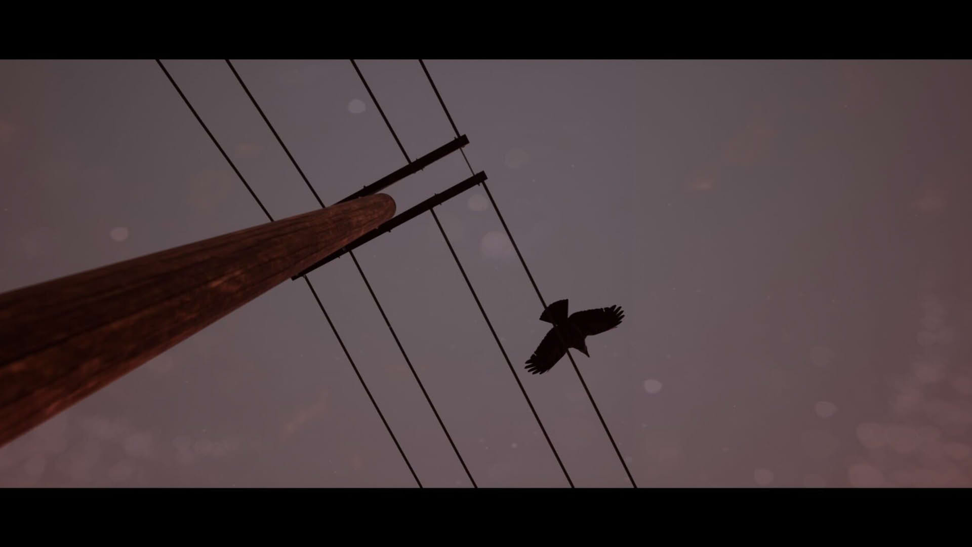 Screenshot for Of Bird and Cage