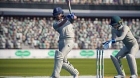 Screenshot for Cricket 19
