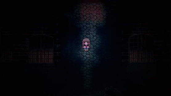 Screenshot for Pocket Mirror