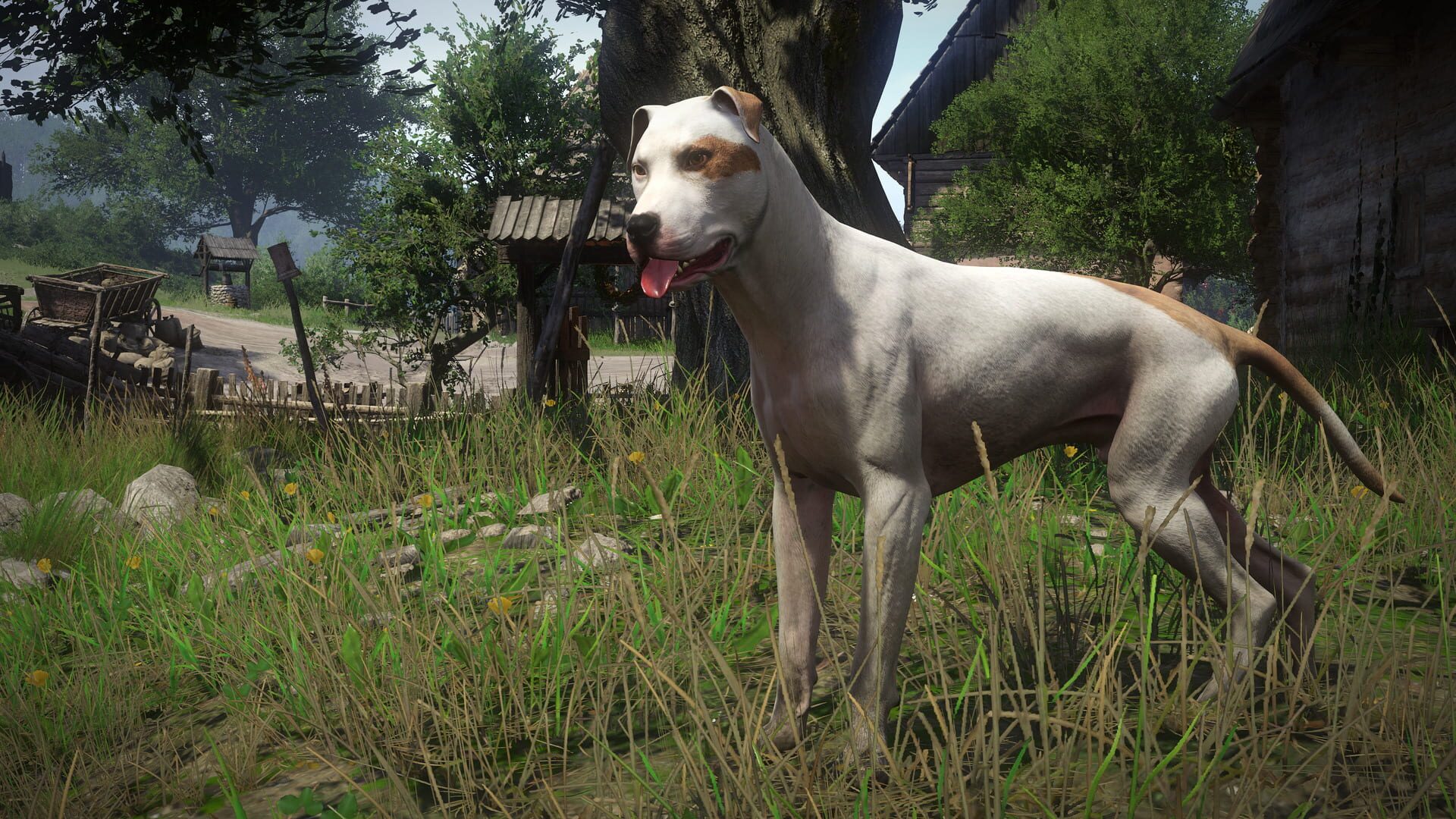 Screenshot for Kingdom Come: Deliverance - A Woman's Lot