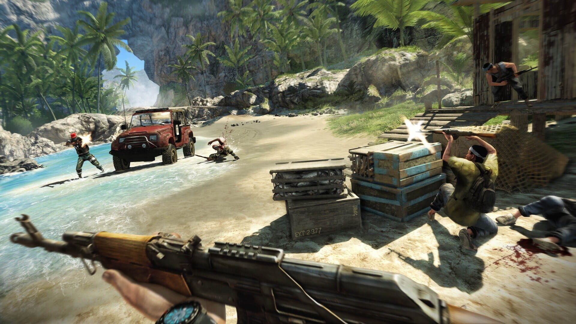 Screenshot for Far Cry 3