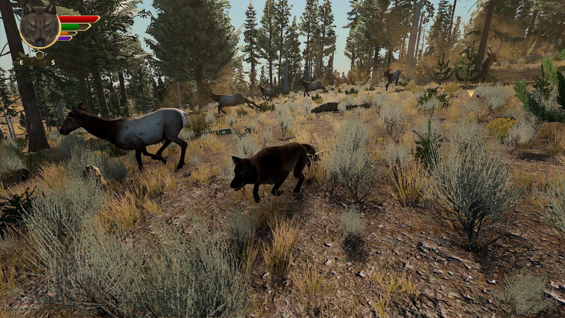 Screenshot for WolfQuest: Anniversary Edition