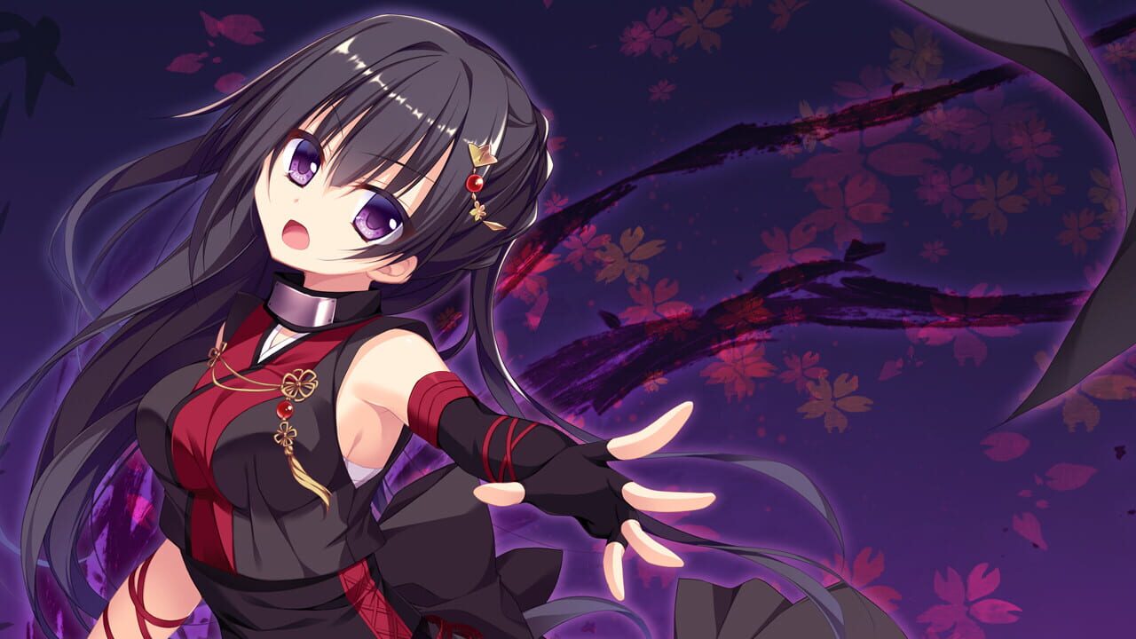 Screenshot for Ninja Girl and the Mysterious Army of Urban Legend Monsters! ~Hunt of the Headless Horseman~