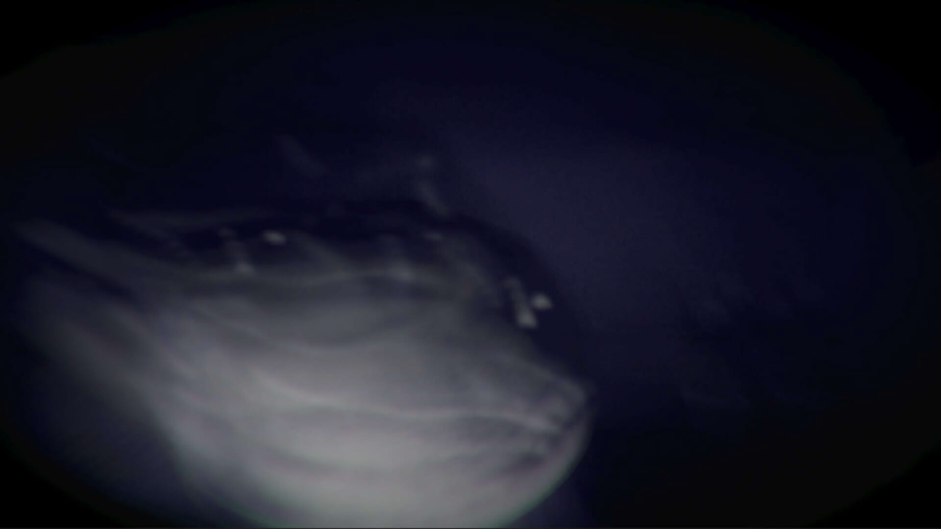 Screenshot for Night Signal