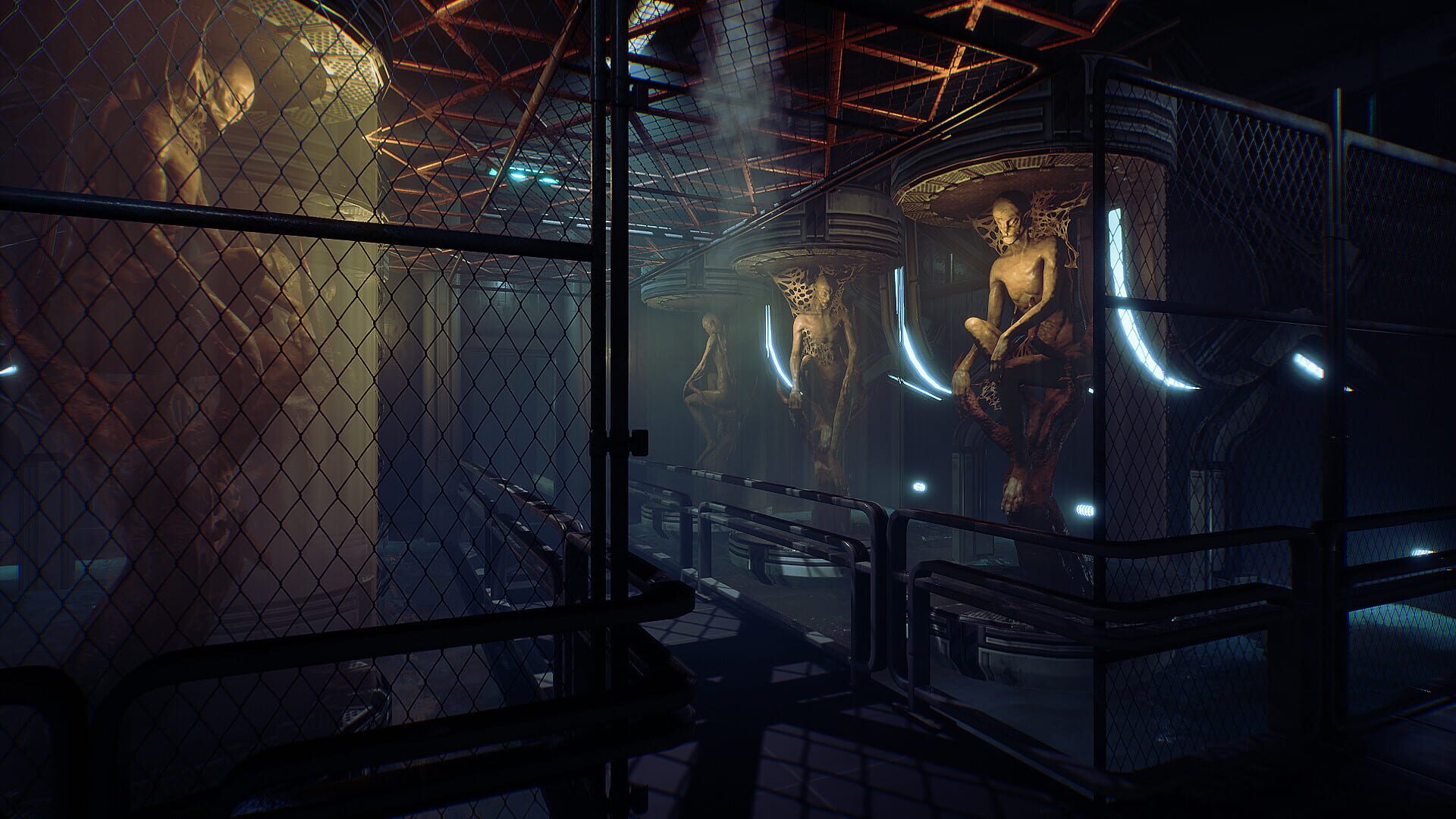 Screenshot for Transient