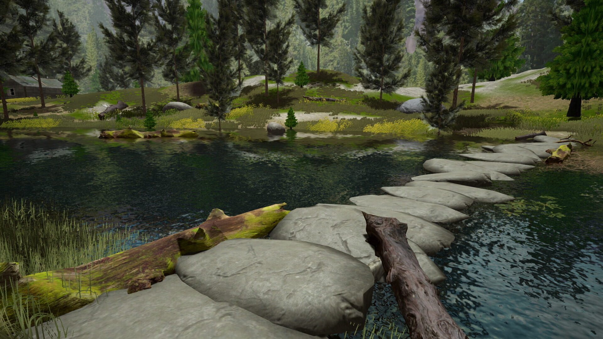 Screenshot for Fishing Adventure