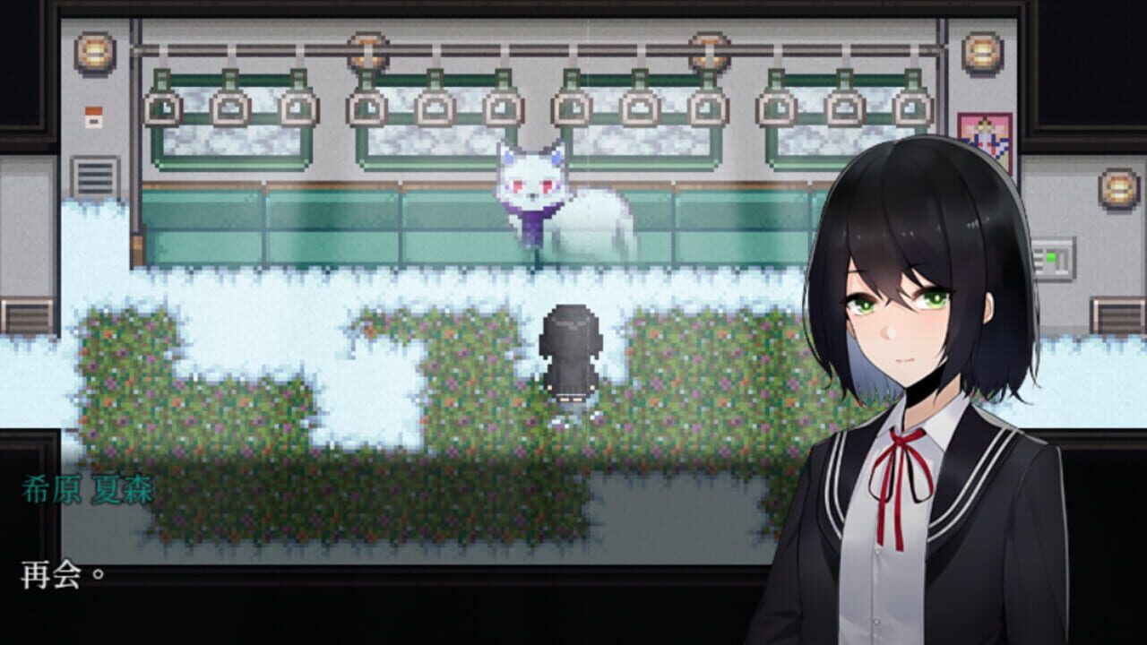 Screenshot for Tales of the Black Forest