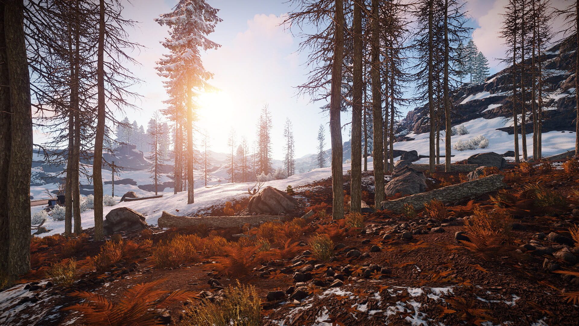 Screenshot for Rust